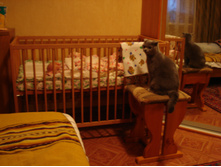 DSC00090.JPG