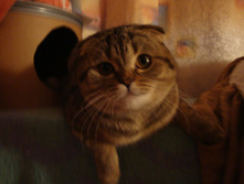 �����