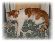 DSCN4009.JPG