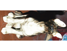 10.12.2009 22:14:03