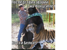 kote-i-belka_1303793113.jpg