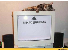 ����-42259.jpeg
