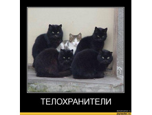 ����-������������-1247.jpg