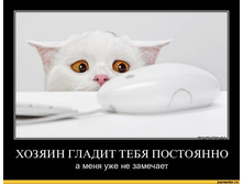 ����-������������-����-41562.jpeg