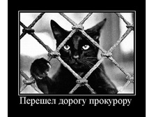 demotivatory_na_vtornik_55_foto_51.jpg