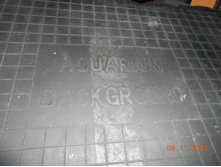DSCN0904.JPG