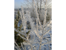 13.12.2009 23:59:22