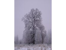 14.12.2009 0:05:13