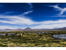 bolivia075.jpg