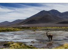 bolivia077.jpg