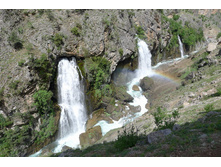 1020045.jpg