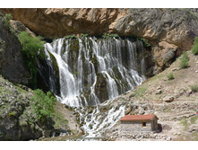 1020059.jpg