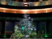 14.12.2009 21:34:22