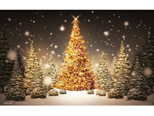 14.12.2009 21:38:31