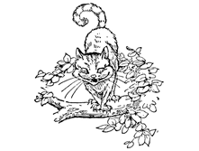 15.12.2009 9:39:51