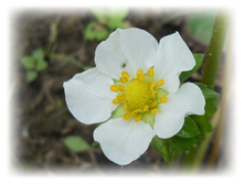 DSCN4048.JPG