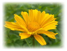 DSCN4125.JPG