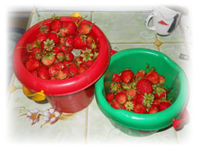 ��� ��������� ���� �������� :))) DSCN4154.JPG