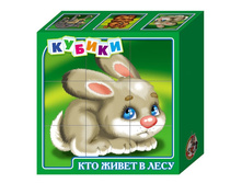 ��� � ���� ����� 1�� 61�