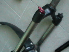 S1300020.JPG
