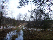 DSCF1293.JPG