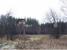 DSCF1295.JPG
