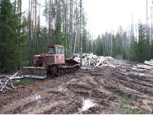 DSCF1299.JPG