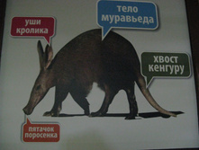 ����������� 194.jpg