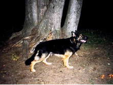 1998�.
