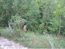 2013-07-13_19-04-40.jpg