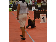 DSC_1672.JPG