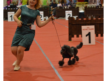 DSC_1679.JPG