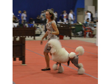 DSC_1690.JPG