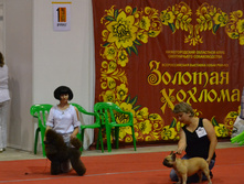 DSC_1705.JPG