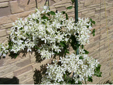 S73R5258.JPG