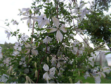S73R5314.JPG