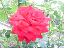 S73R5324.JPG