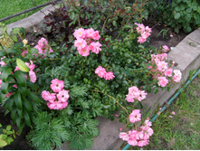 S73R5351.JPG