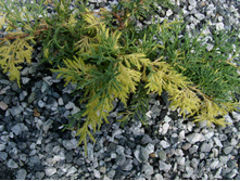 S73R5367.JPG