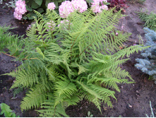 S73R5413.JPG