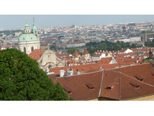P1080426.JPG