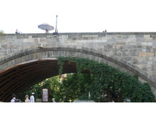 P1080447.JPG