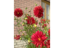 ����-0145.jpg