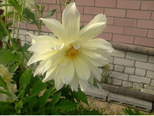 ����-0146.jpg