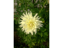 ����-0147.jpg