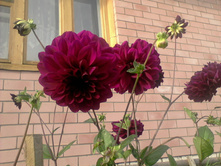 ����-0148.jpg