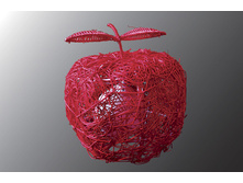 T005-2 RED.jpg