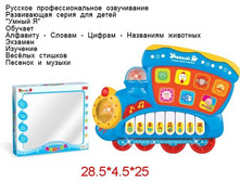 274.jpg