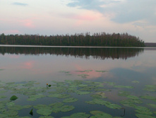 DSC_1195.JPG