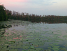 DSC_1196.JPG